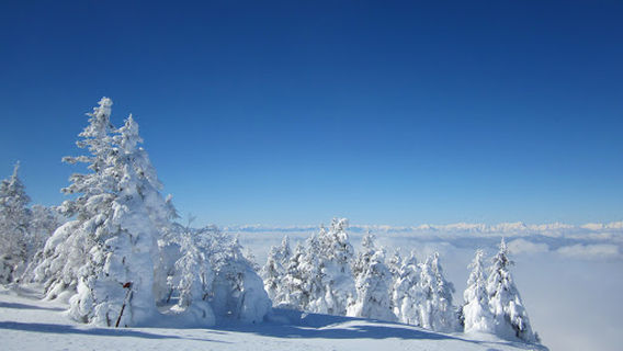 Sugadaira Kogen Davos Snow Park