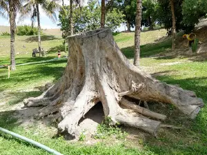 Sítio Recanto Verdes Vales