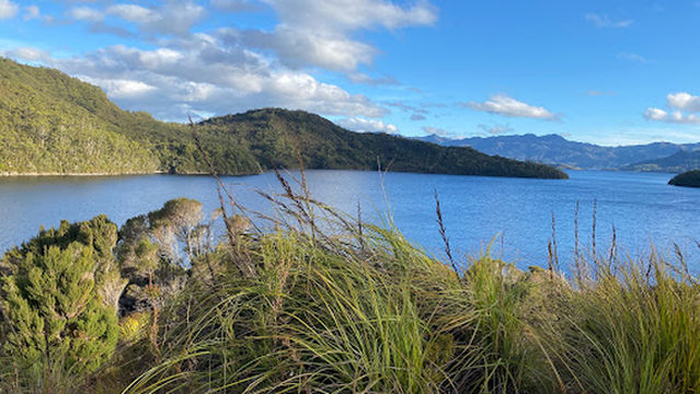 Bitumen Bones Sculpture
