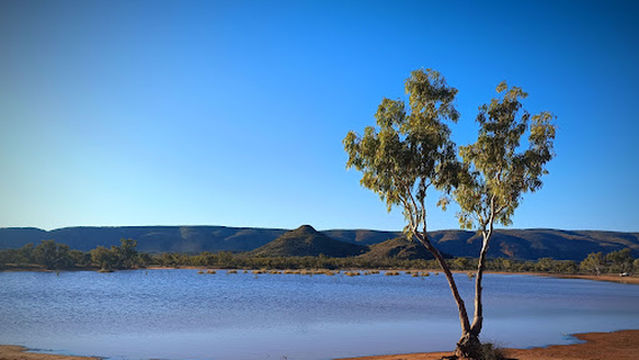 Ilparpa Swamp Wildlife Protected Area