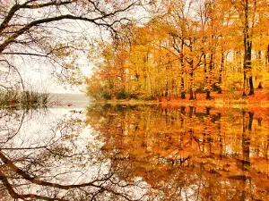 Etang de Tremelin
