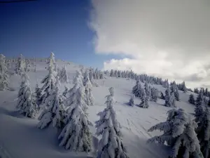 Ski Resort Rokytnice
