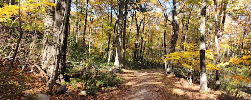 Bear Hill Nature Preserve