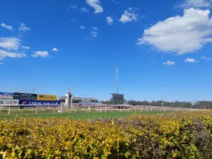 Casino Racecourse and Showground