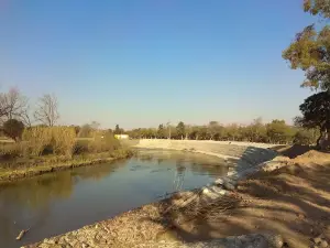Rinconada