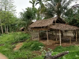 Eastern Range, Kaziranga
