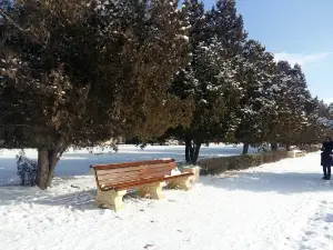 Городской парк