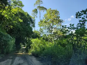 Guatopo National Park