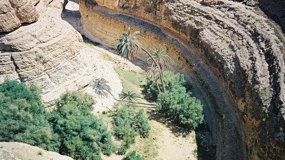 Dghoumes National Park