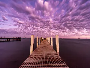 Monkey Mia Jetty