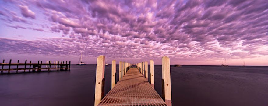 Monkey Mia Jetty