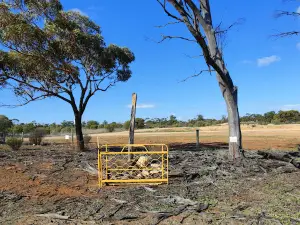 Galga Silo Art
