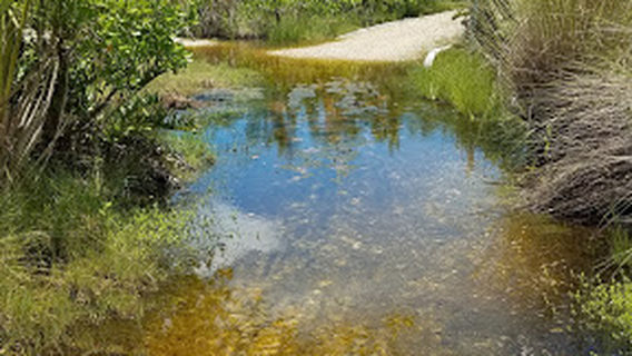 Punta Gorda Nature Park