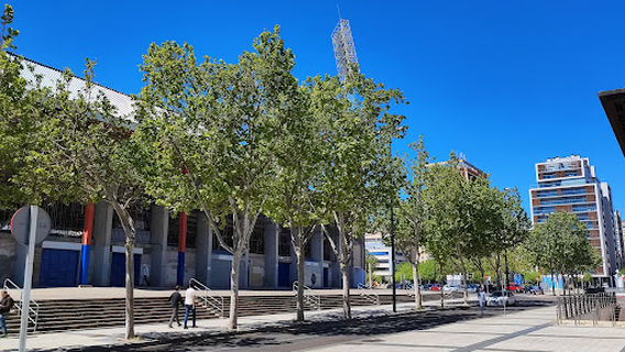 Zaragoza