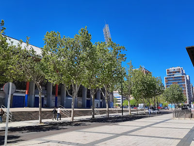 La Romareda Stadium