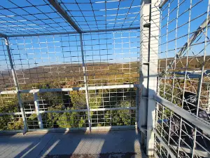 Vince Ranzinger Lookout