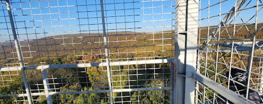Vince Ranzinger Lookout