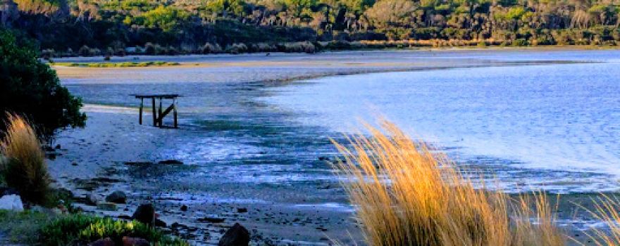 Little Musselroe Bay