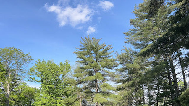 Goldman-Kuenz Sculpture Park at Cedarhurst