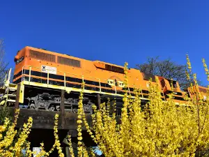 John P Amacher Park