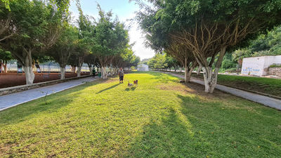 Parque La Milagrosa