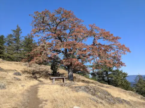 Turtleback Mountain South Trailhead - San Juan County Land Bank