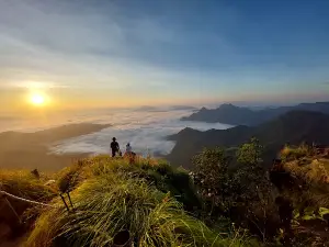 Phu Chi Fah View