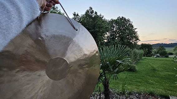 Cornevin Barbara Les Méditations D'alisea