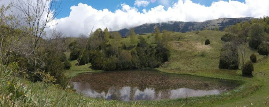 Estany d'en Roca