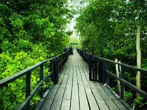Taman Ekowisata Mangrove Mengkapan