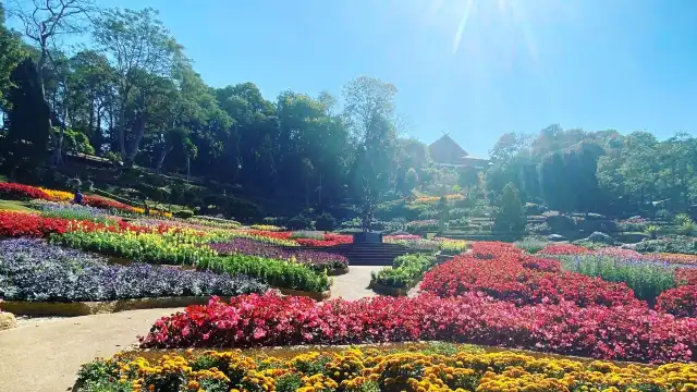 โรงแรมใกล้พระตำหนักดอยตุง