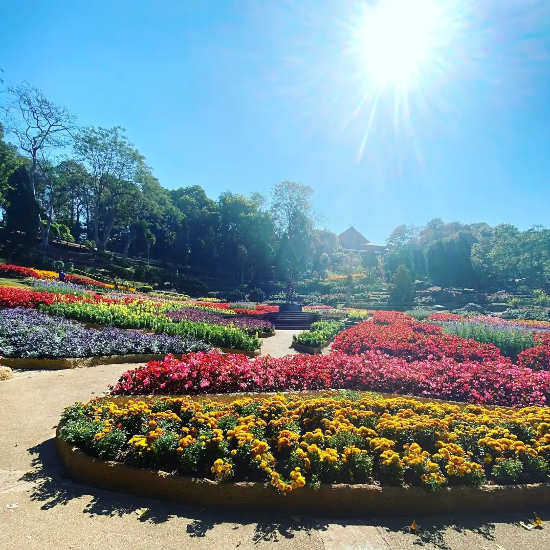 Hotels near Doi Tung Royal Villa, Mae Fah Luang