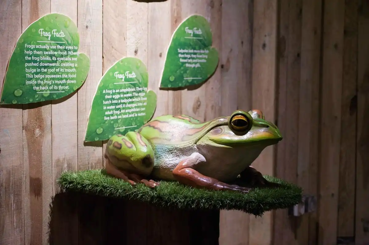Hoteles cerca de St Andrews Aquarium