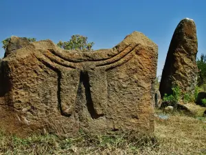 Tiya World Heritage Site