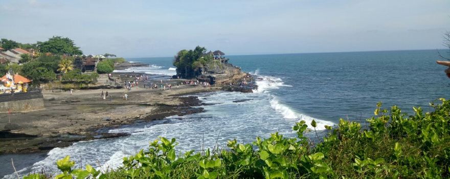 Garut