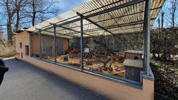 Nymphaea Zoo