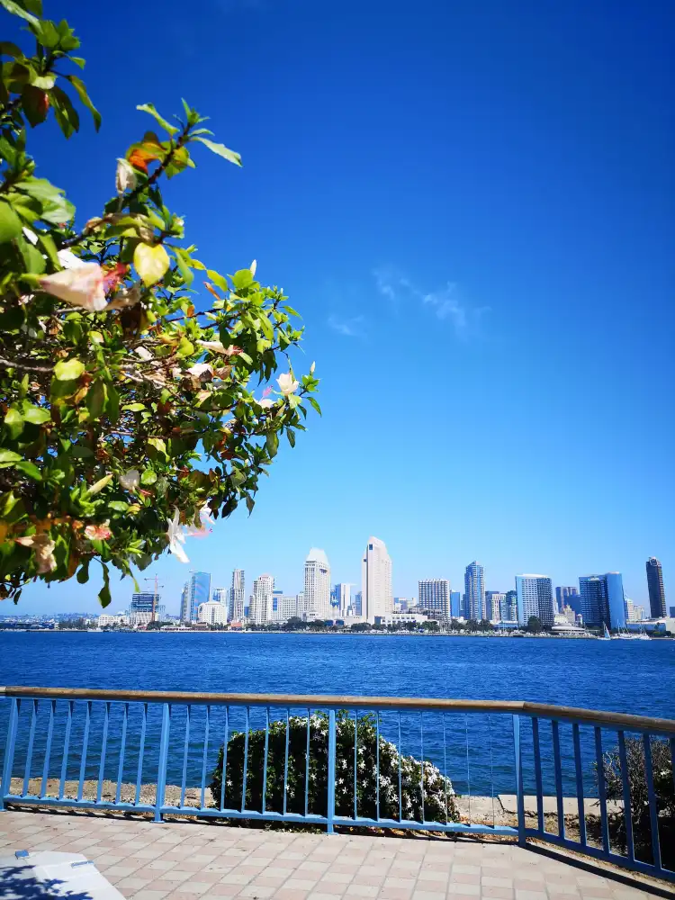 Coronado