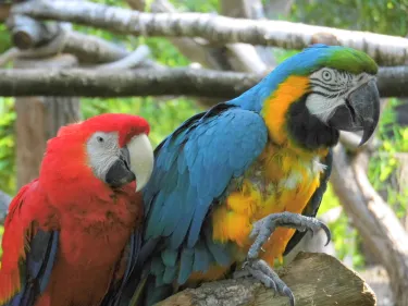 フェルトホーフェン動物園