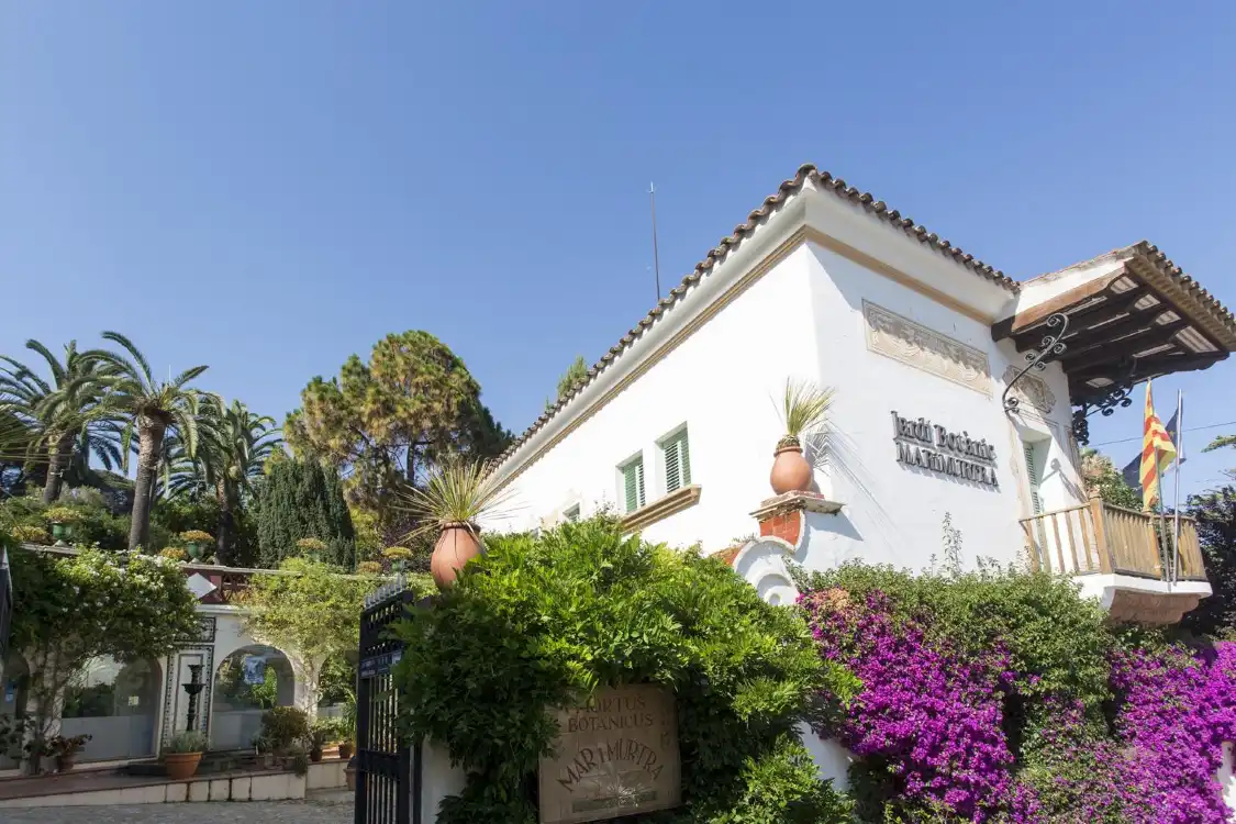 Hotels near Jardin Botanico Marimurtra