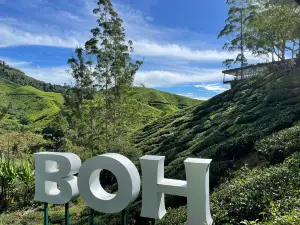 Bharat Tea Plantations Sdn. Bhd.