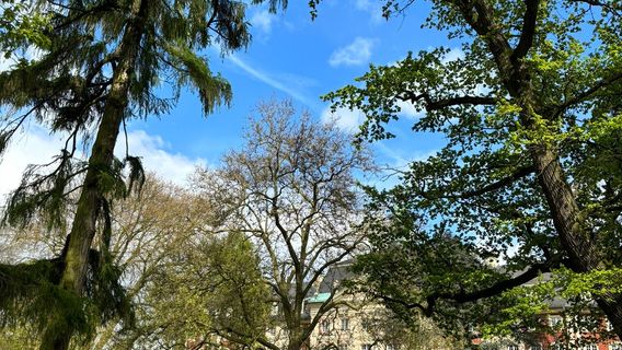 Botanical Garden of the University of Münster