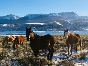 Rusty Spurr Ranch