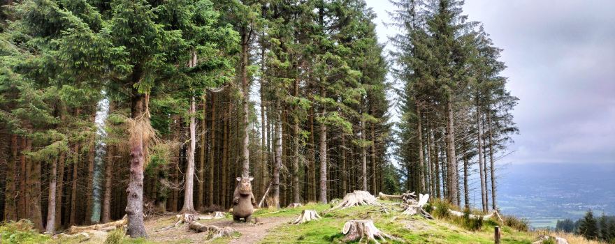 Go Ape Whinlatter