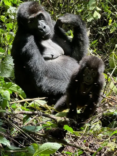 South Kivu