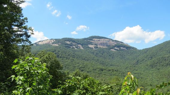 Upper Creek