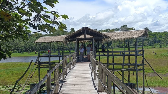 Parque Ecologico Janauari