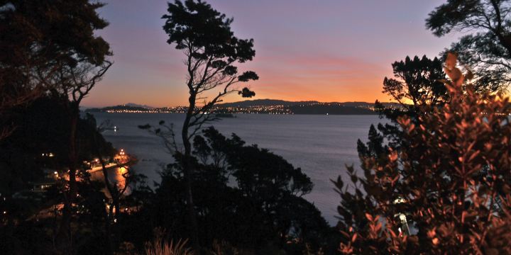 Williams Reserve