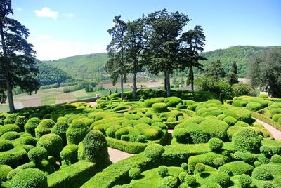 Marqueyssac Gardens