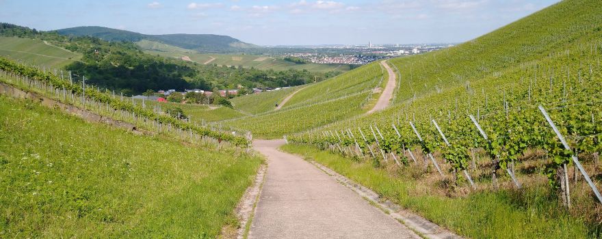 Weinstadt