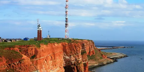 Helgolander Kegelrobben